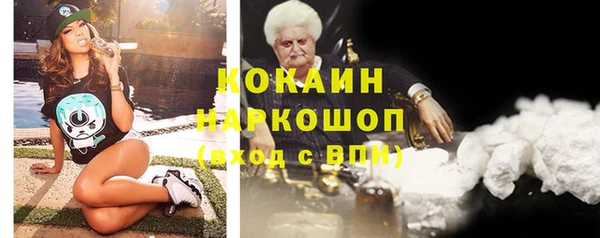 тгк Няндома