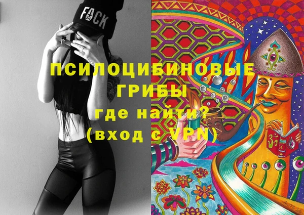 тгк Няндома