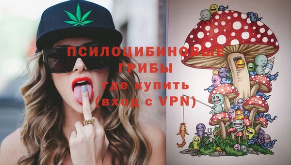 тгк Няндома