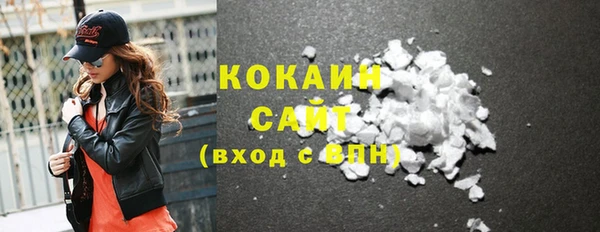 тгк Няндома