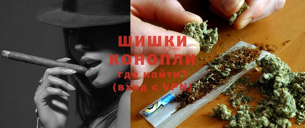 тгк Няндома