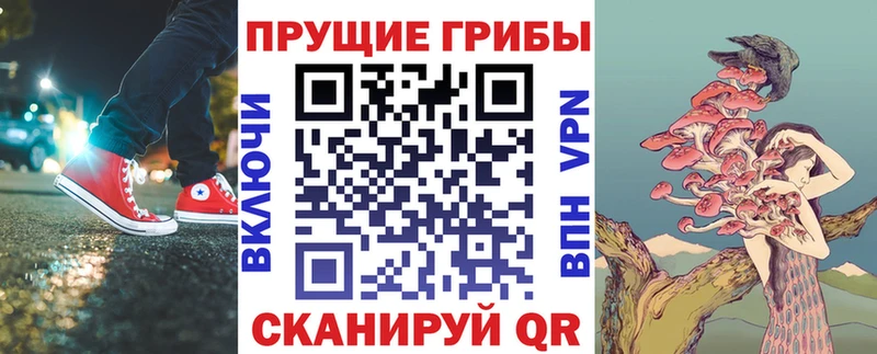 Купить закладки  Нижнеудинск  Псилоцибиновые грибы мицелий 